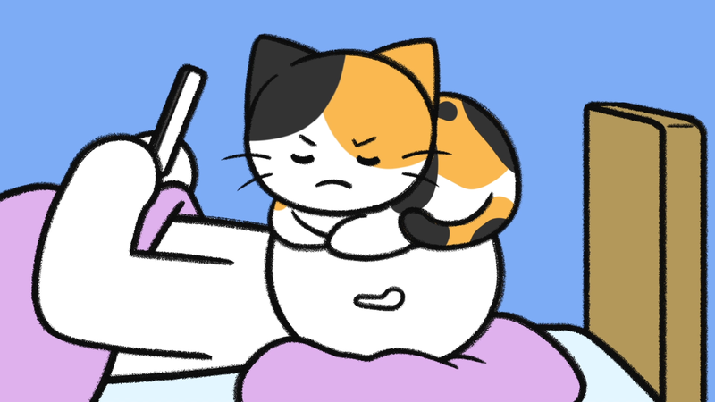 Cat_show_butts_3_1