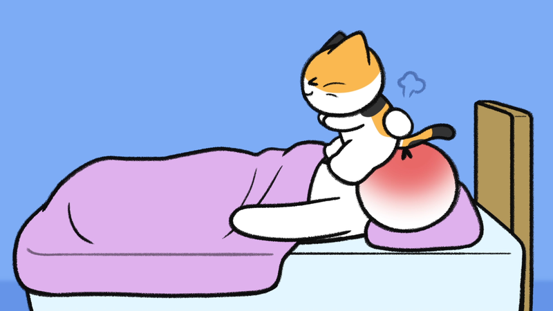 Cat_show_butts_3_2
