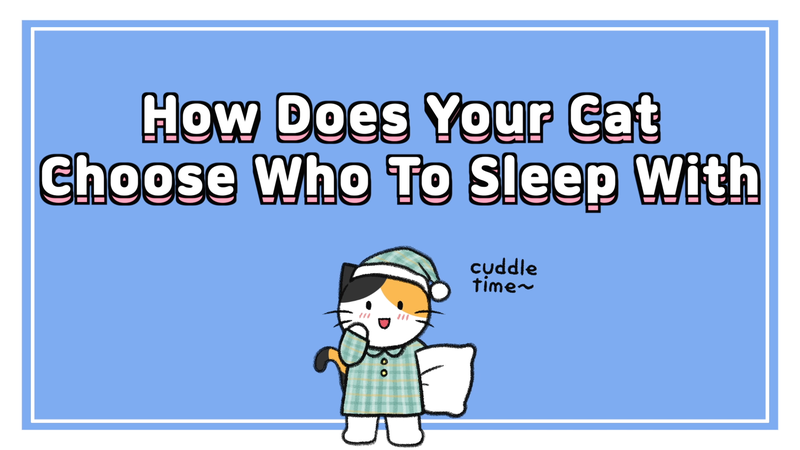 Cat_sleep_with_0_