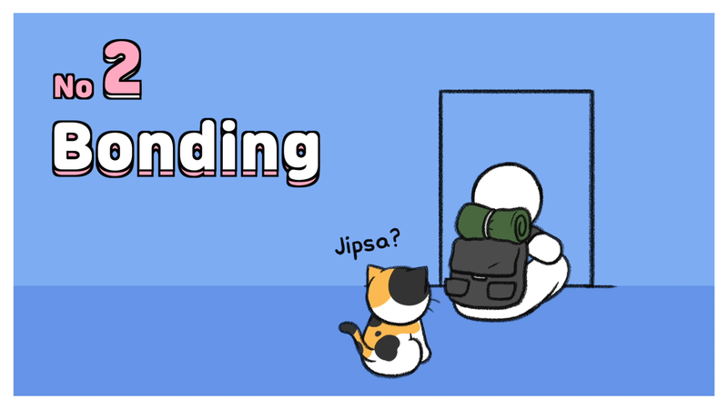 Cat_sleep_with_2_