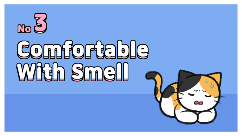 Cat_sleep_with_3_