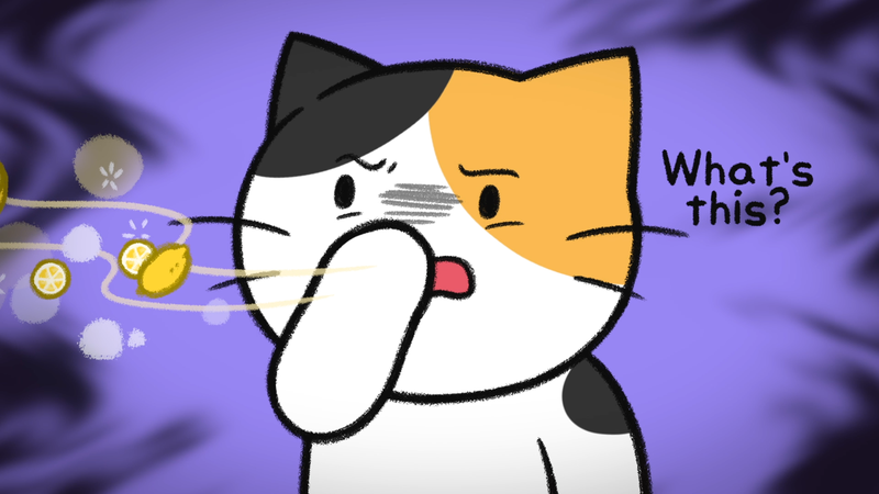 Cat_sleep_with_3_1