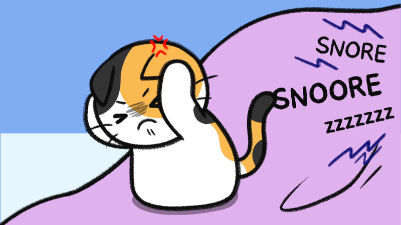 Cat_sleep_with_4_1