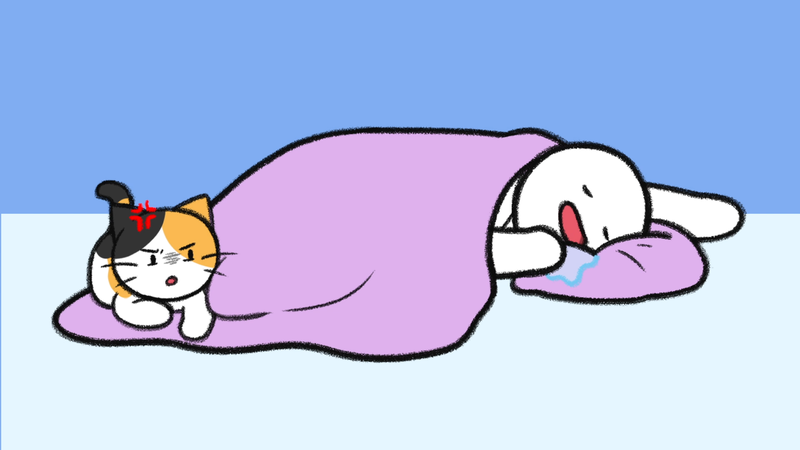 Cat_sleep_with_4_2