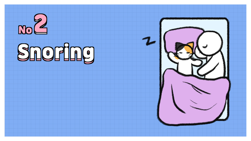 Cat_sleeping_position_12_