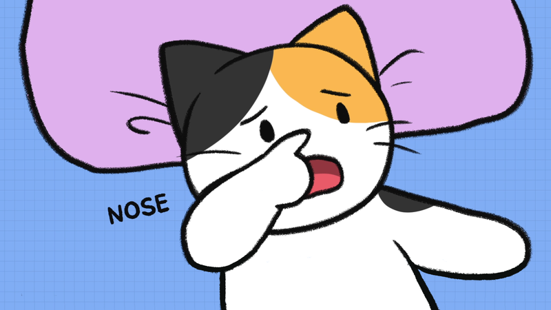 Cat_sleeping_position_12_1