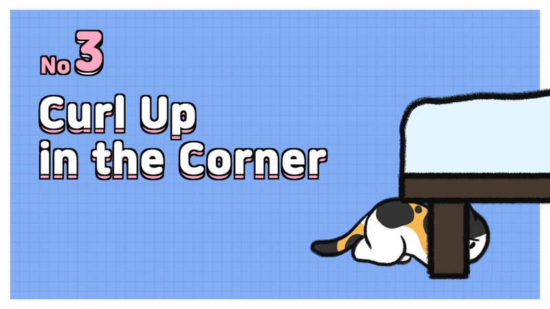 Cat_sleeping_position_13_