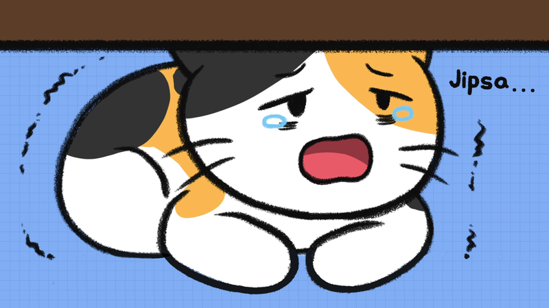 Cat_sleeping_position_13_1