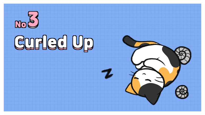 Cat_sleeping_position_3_