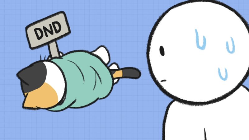 Cat_sleeping_position_3_1