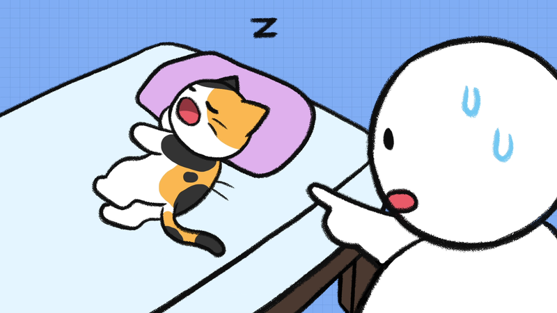 Cat_sleeping_position_6_1