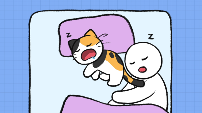 Cat_sleeping_position_7_2