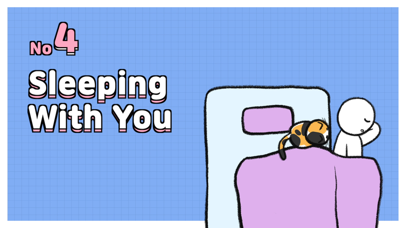Cat_sleeping_position_9_