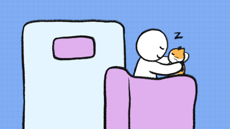 Cat_sleeping_position_9_2