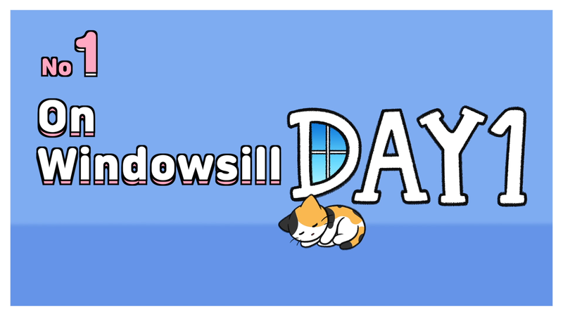 Cat_sleeping_spots_1_