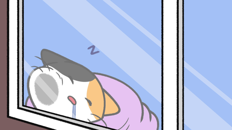 Cat_sleeping_spots_1_1