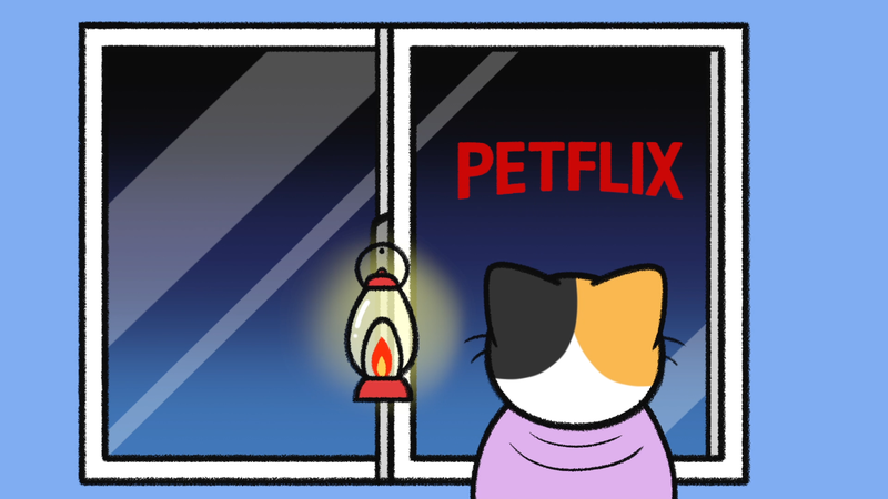 Cat_sleeping_spots_1_3