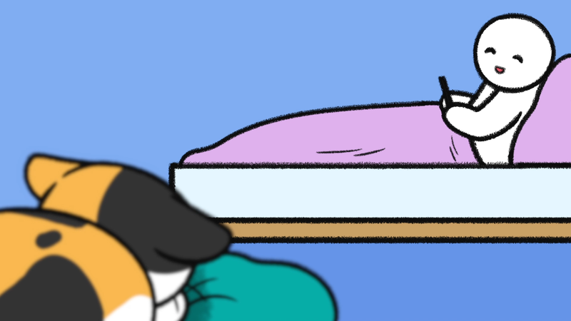 Cat_sleeping_spots_3_1