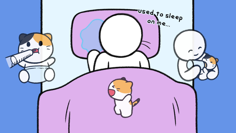 Cat_sleeping_spots_3_2