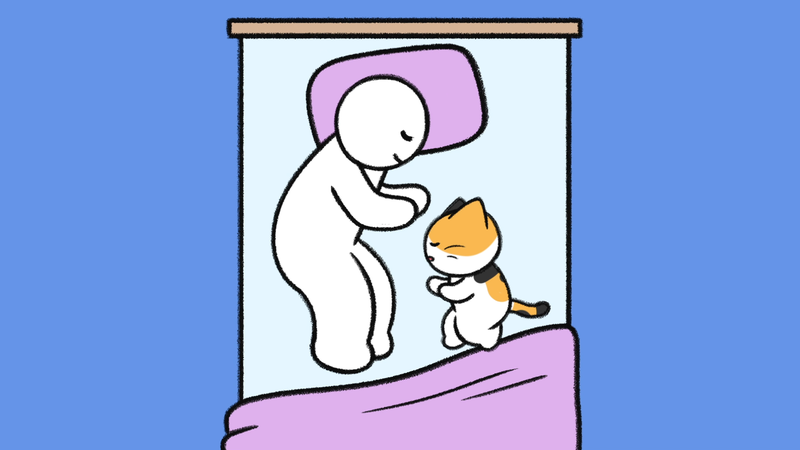 Cat_sleeping_spots_3_3