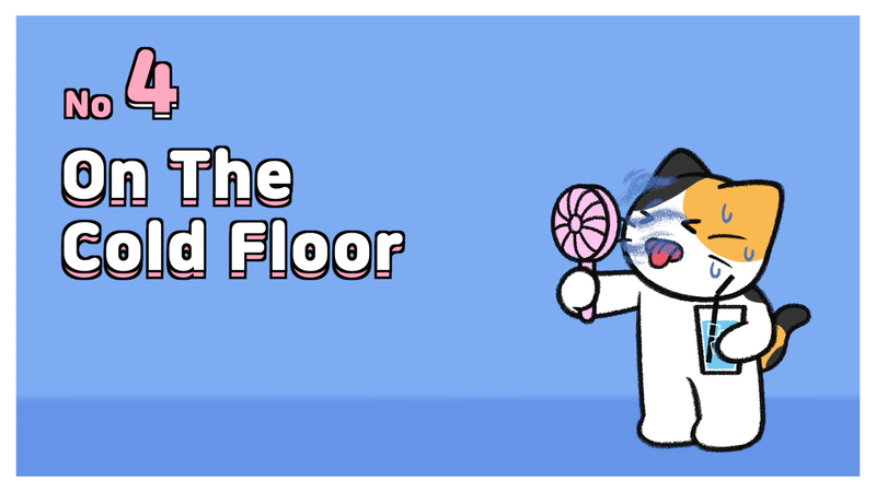 Cat_sleeping_spots_4_