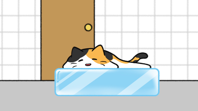 Cat_sleeping_spots_4_1