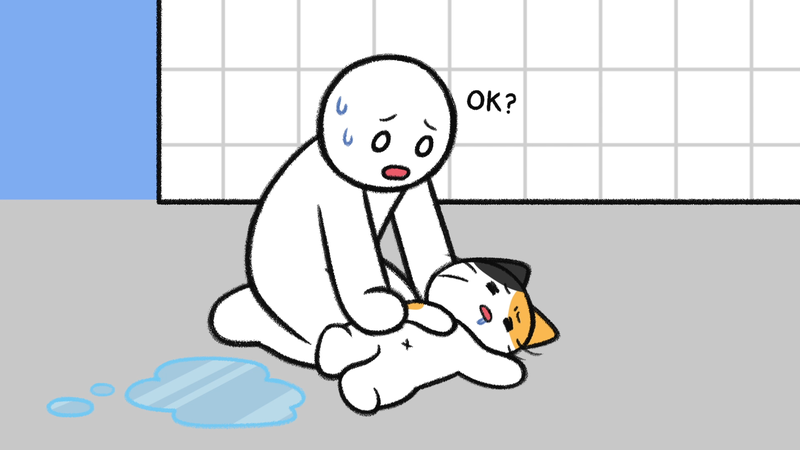 Cat_sleeping_spots_4_2