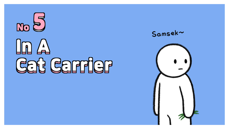 Cat_sleeping_spots_5_