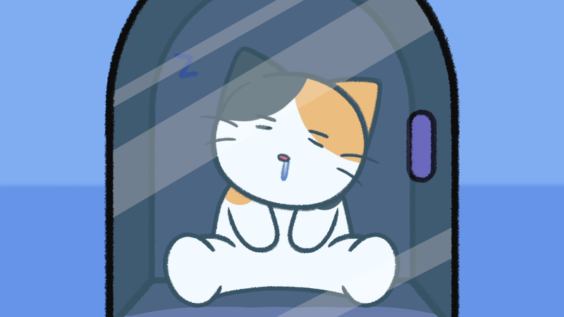 Cat_sleeping_spots_5_1