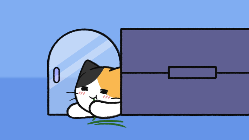 Cat_sleeping_spots_5_2