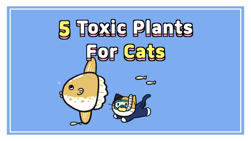 Cat_toxic_plant_0_