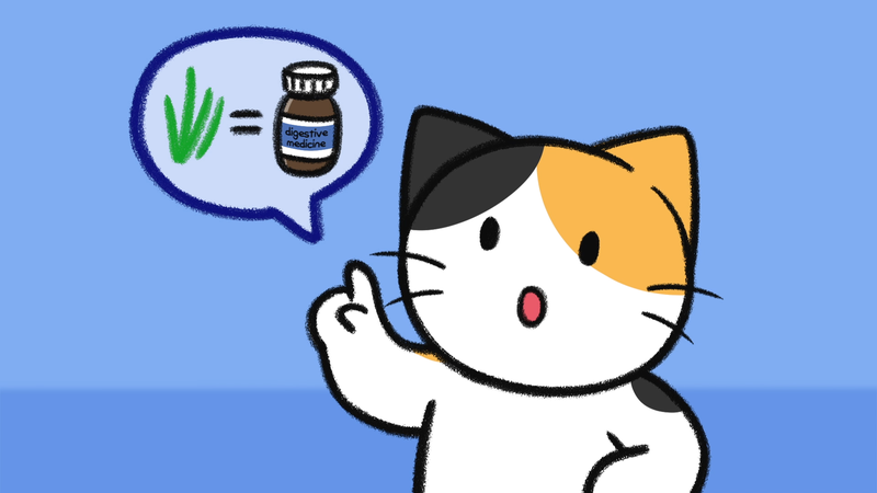 Cat_toxic_plant_1_2