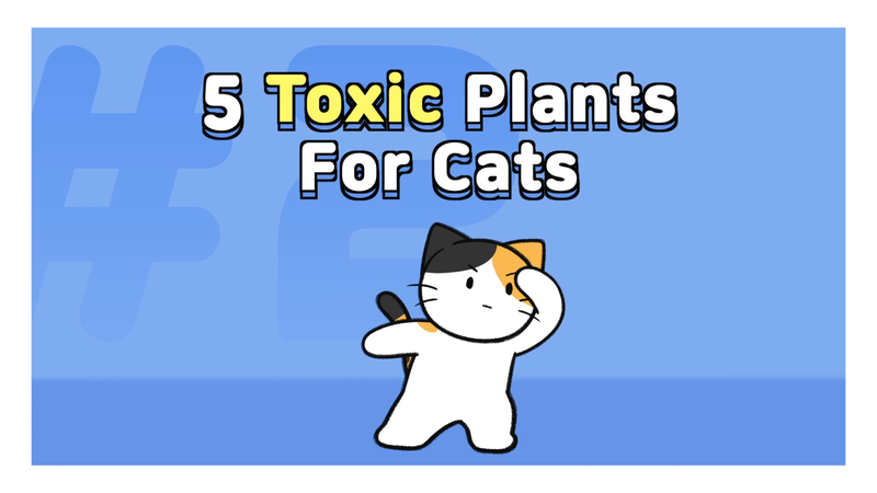Cat_toxic_plant_2_