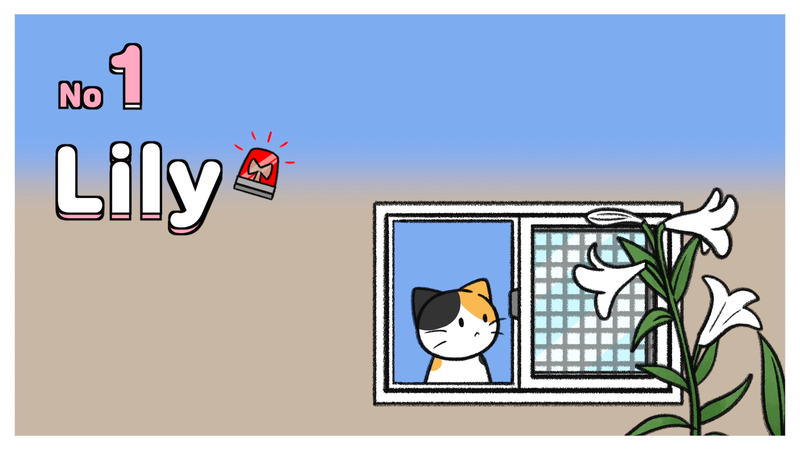 Cat_toxic_plant_2_1_