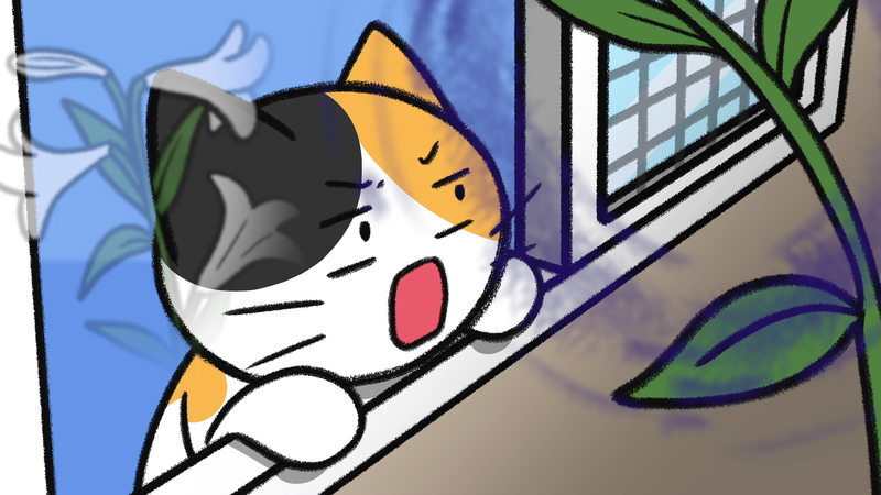 Cat_toxic_plant_2_1_1