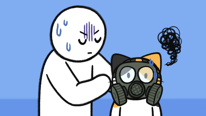 Cat_toxic_plant_2_1_2