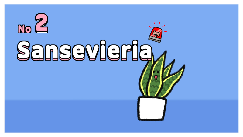 Cat_toxic_plant_2_2_