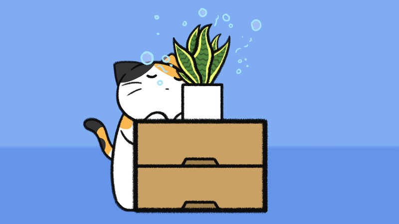 Cat_toxic_plant_2_2_1