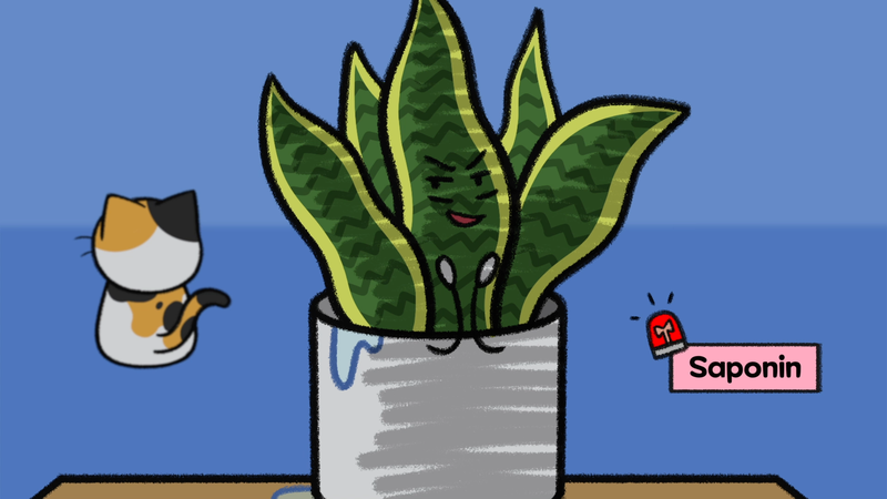 Cat_toxic_plant_2_2_2