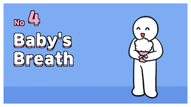 Cat_toxic_plant_2_4_