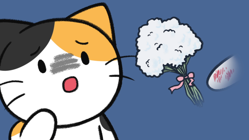 Cat_toxic_plant_2_4_2