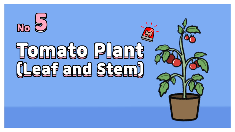 Cat_toxic_plant_2_5_