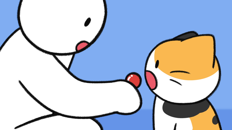 Cat_toxic_plant_2_5_1