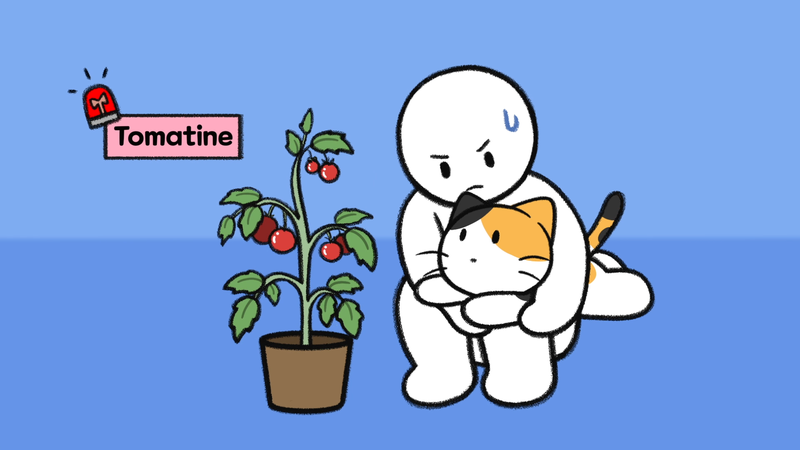 Cat_toxic_plant_2_5_2