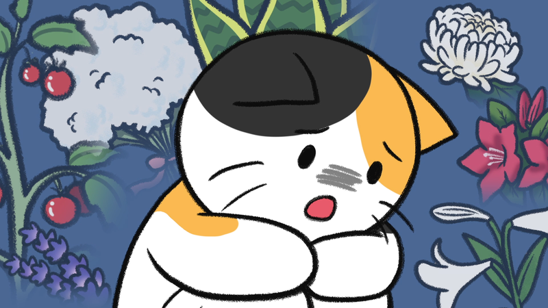 Cat_toxic_plant_3_