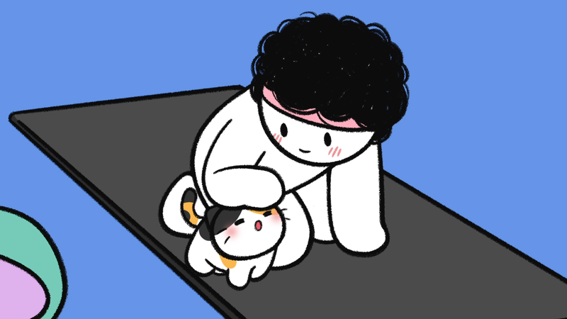 Cat_trustX_1_3