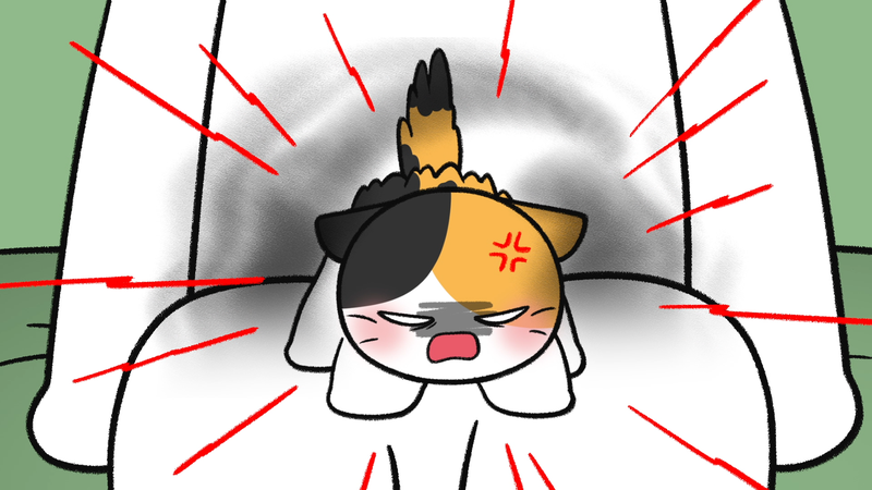 Cat_trustX_2_2