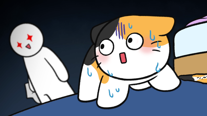 Cat_trustX_3_3