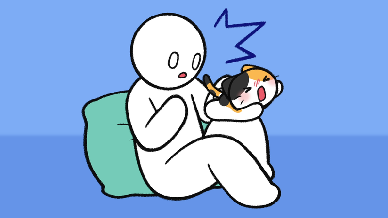 Cat_trustX_4_1
