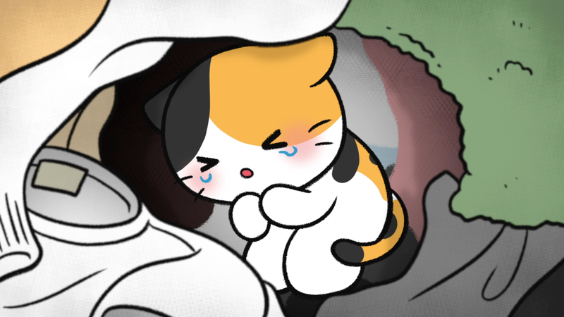 Cat_trustX_4_2